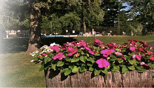 The Wesley Inn Motel Женевско езеро Екстериор снимка